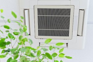 Why Indoor Air Quality Matters